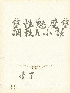 双性魅魔双性受调教h小说封面