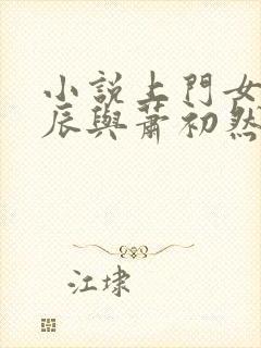 小说上门女婿叶辰与萧初然封面