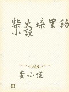 柴火垛里的疯狂小说