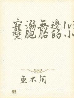 宠溺无边1v3双胞胎的小说