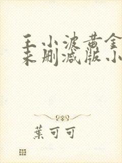 王小波黄金时代未删减版小说