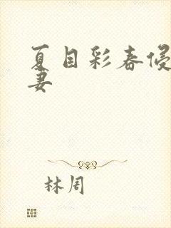 夏目彩春侵犯人妻