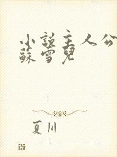 小说主人公陆尘苏雪儿封面