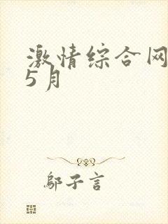 激情综合网激情5月