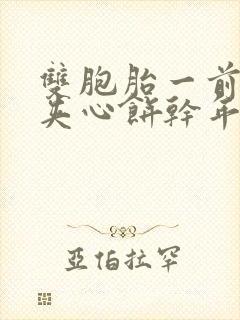 双胞胎一前一后夹心饼干年下封面