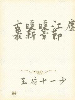 古暖暖江尘御 最新章节封面