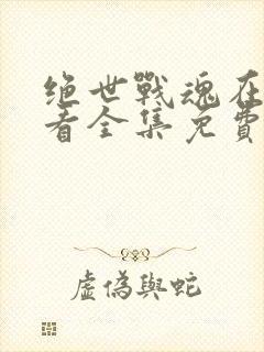 绝世战魂在线观看全集免费播放动漫