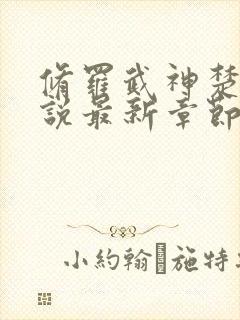 修罗武神楚枫小说最新章节列表最