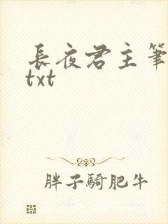 长夜君主笔趣阁txt