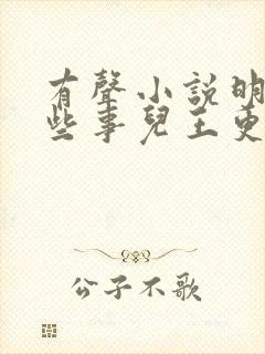 有声小说明朝那些事儿王更新