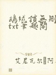 鹅绒锁无删减版txt笔趣阁