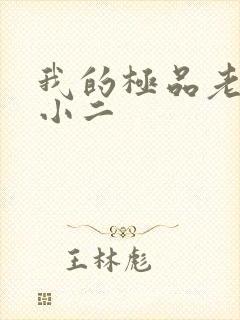 我的极品老婆 小二