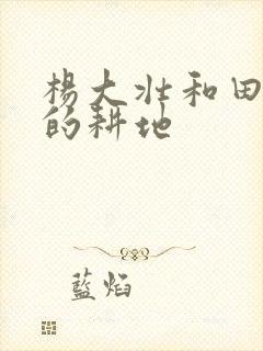 杨大壮和田桂花的耕地