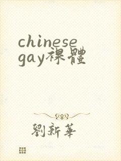 chinesegay裸体
