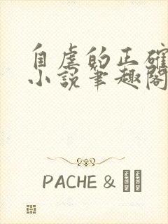 自虐的正确方式小说笔趣阁