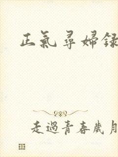 正气寻妇录