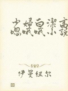 少妇白洁高义嗯嗯哦哦小说