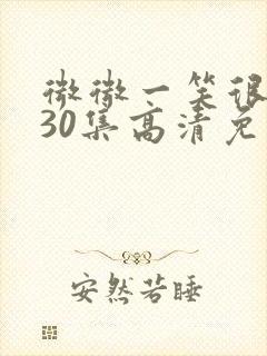 微微一笑很倾城30集高清免费观看封面