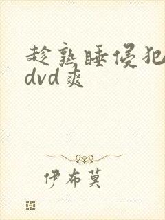 趁熟睡侵犯人妻dvd爽封面