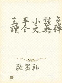 王平小说免费阅读全文无弹窗