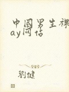 中国男生裸体gay网站