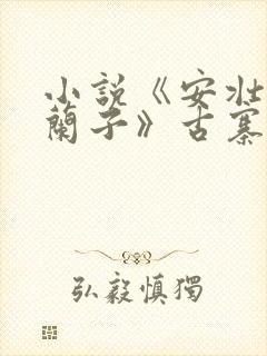 小说《安壮壮,兰子》古寨小说下载