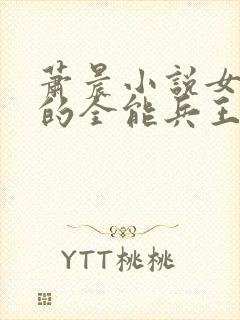 萧晨小说女总裁的全能兵王