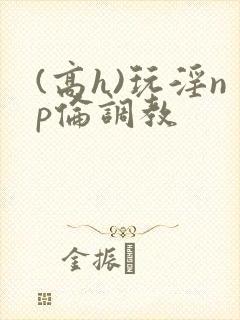 (高h)玩淫np伦调教