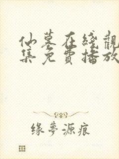 仙墓在线观看全集免费播放动漫