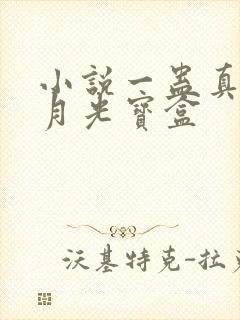 小说一蛊真人之月光宝盒