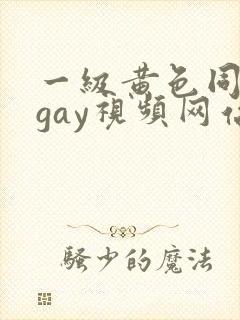 一级黄色同性恋gay视频网站