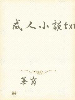 成人小说txt封面