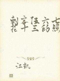 刺客伍六七和梅花十三的照片封面