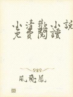 小清欢小说全文免费阅读