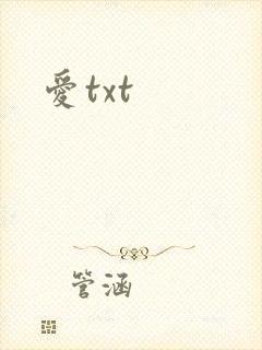 爱txt