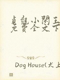 贞观小闲王小说免费全文下载封面