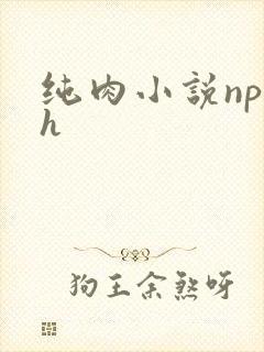 纯肉小说np高h封面