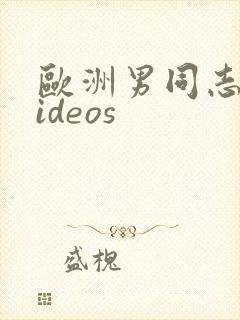 欧洲男同志 videos封面