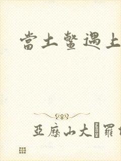 当土鳖遇上海龟封面