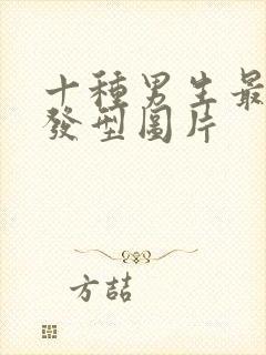 十种男生最帅的发型图片