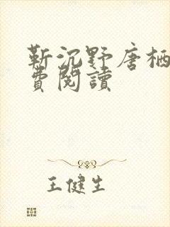 靳沉野唐栖雾免费阅读封面