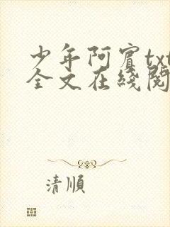 少年阿宾txt全文在线阅读