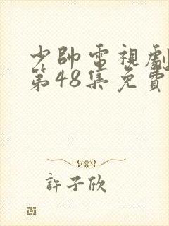 少帅电视剧全集第48集免费