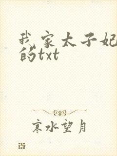 我家太子妃超凶的txt封面