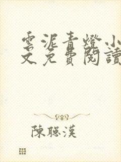 云泥青灯小说全文免费阅读无弹窗封面