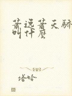 萧逸萧天骄小说叫什么