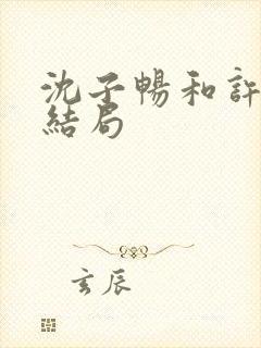 沈子畅和许言的结局