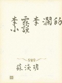 李霖李澜的官场小说