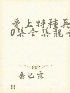 爱上特种兵第40集全集观看