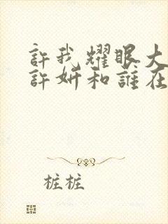 许我耀眼大结局许妍和谁在一起